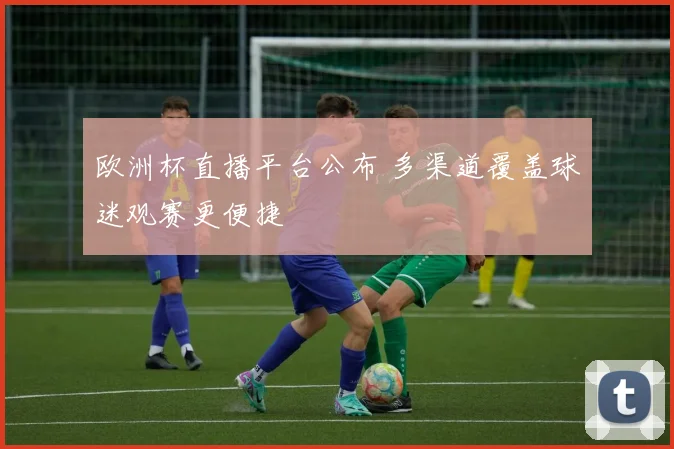 欧洲杯直播平台公布 多渠道覆盖球迷观赛更便捷