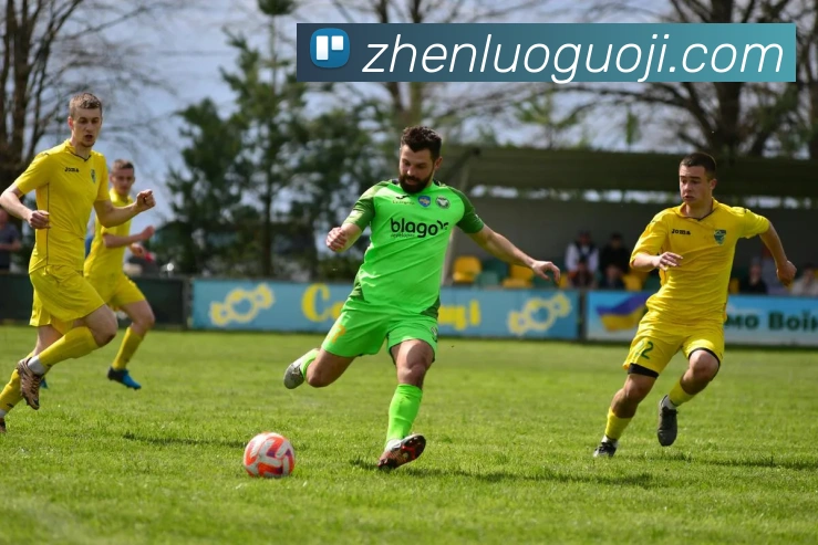 九游在线登陆官网APP 封面图